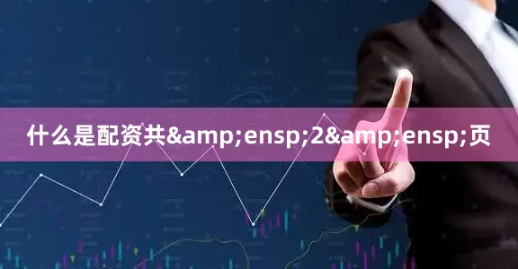 什么是配资共&ensp;2&ensp;页