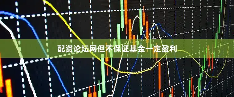配资论坛网但不保证基金一定盈利